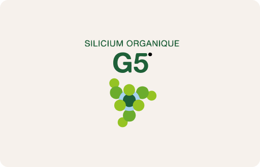 Silicium G5
