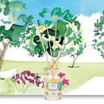 diffuseur Citron & Verveine Domea