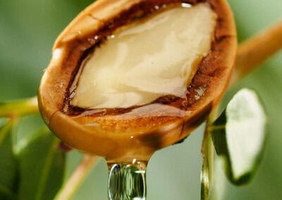 Shampooing coloration restructurant Biokap nutricolor