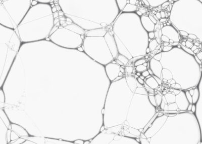 molécule monométhylsilanetriol silicium organique