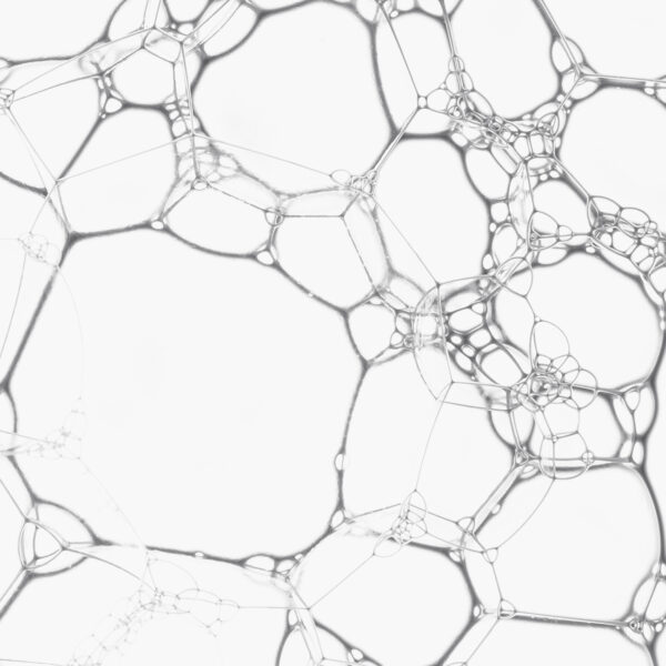 molécule monométhylsilanetriol silicium organique