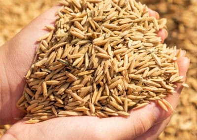 Masque cheveux réparateur Biokap