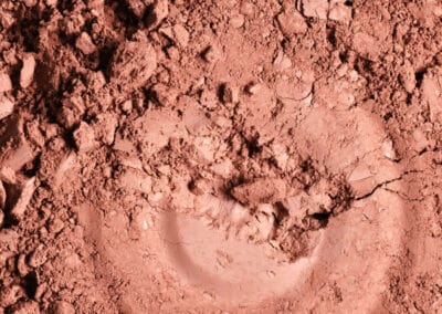 Masque Bio capillaire à l'argile texture