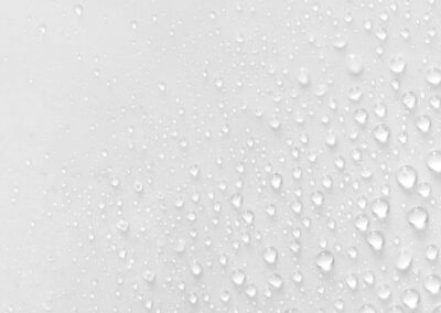 brume silicium organique G5