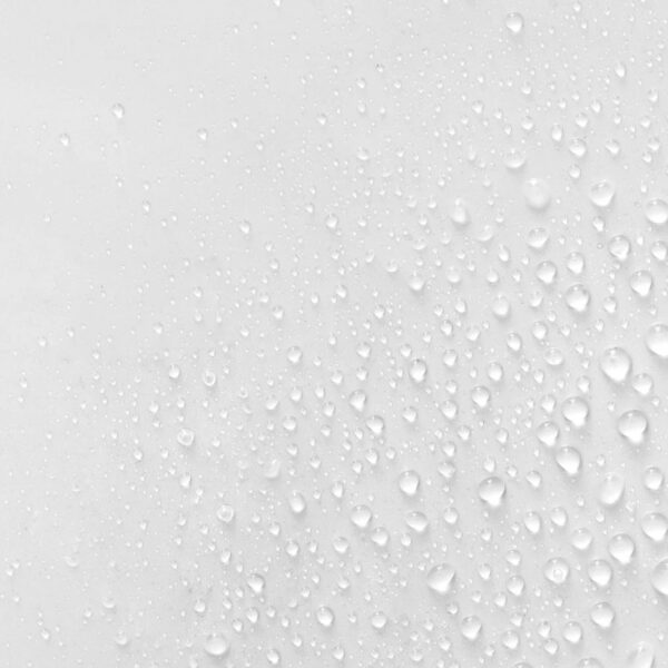 brume silicium organique G5