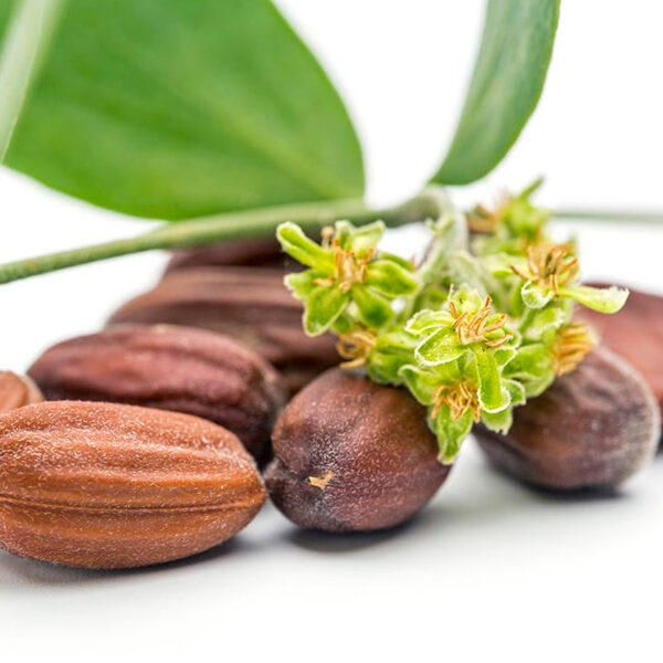 Baume Bio démêlant et nourrissant Biokap