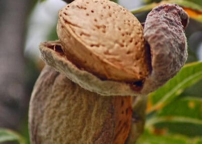 Shampooing doux et naturel usage fréquent Bellezza de Biokap