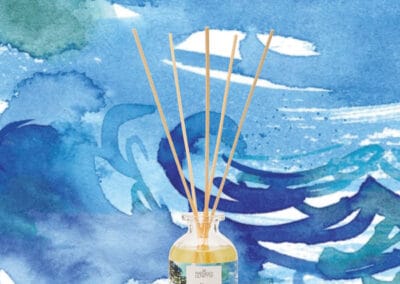 Diffuseur Pin maritime & Lavande